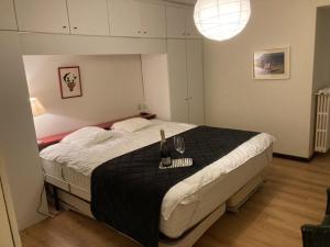 Ruim Appartement met zeezicht en gratis ruime overdekte parking