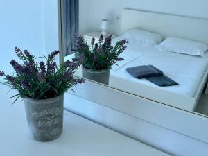 201 Meridiano View Apartment