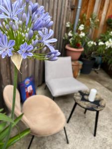 grand appartement lumineux proche du centre avec cour privée