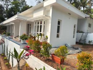Solmist Inn Homestay