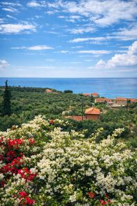 Papanestoras Apartments