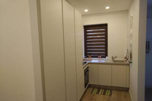 Semi-central modern apartment with Feroviarilor Park View