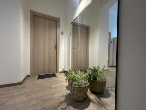 D'Annunzio Rooms img7