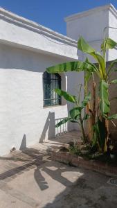 Refugio del Limonero - Colonial y Cercano