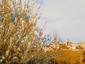 Lo Scorcio su Sovicille