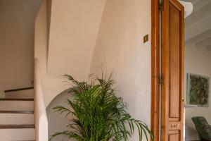 Boutique apartments Casa Cappuccino