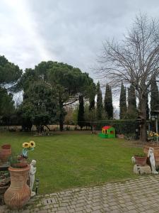 Il Quercetino di Momo