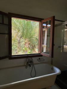 Hacienda Palma Escondida