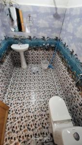 tirthan horizon homestay