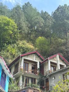 tirthan horizon homestay