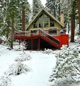 Honey Bear Cabin