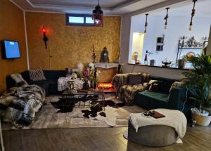 grand appartement la roche