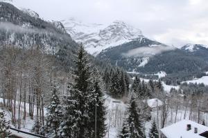 El Balcón des Diablerets