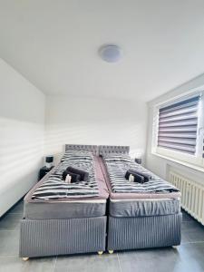 Voll ausgestattete 3 Zimmer Wohnung