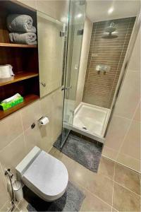 2 bed flat Chelsea Bridge next to BatterSea Park