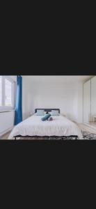 Maison avec salle cinéma, terrasse, jardin, trampoline & BBQ proche Strasbourg