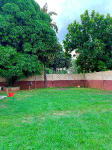 The Mango House