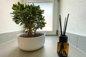 City Center 4BD Parking Fast WiFi