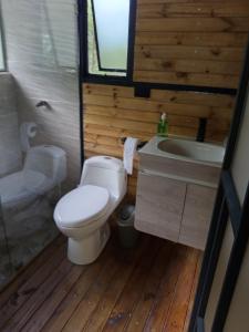 Glamping las palmas