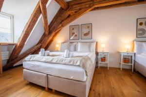 Special TOP LUX 42 Apartment, Top Lage!!! Luxuriös!!! Ruhig!!! Rheinufer!!! Altstadt Kleinbasel 10-STAR