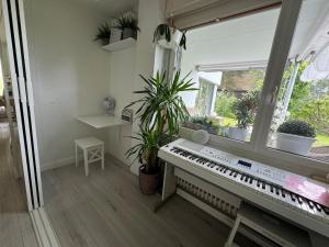 Luxury Gold Coast 5rms Apt- Garden & lake view!