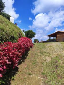 Finca Cercanías Marinilla - Casa Campestre