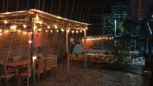 hostal Casa pura vida