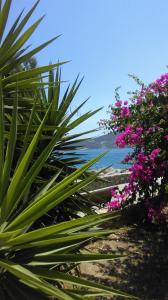 Boutique Hotel Tilos Mare Tílos Greece