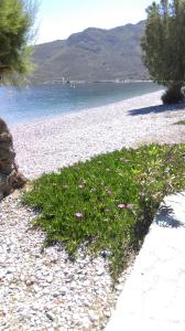 Boutique Hotel Tilos Mare Tílos Greece