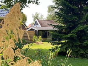 Quiet Wellness Villa in Bellingwolde