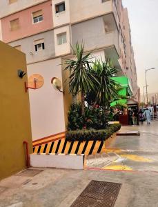 Stay in Agadir with Moroccan flavors included