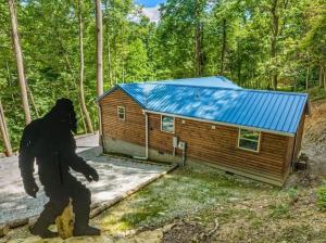 Bigfoot Bungalow - Hot Tub - Secluded RRG Retreat - 12 min to Natural Bridge - Close to trails & attractions - Private - peaceful