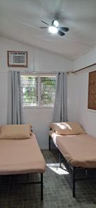 Jean Homestay