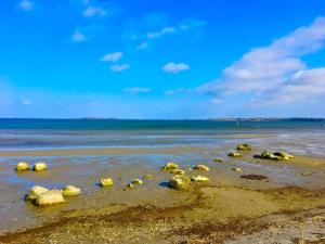 6 person holiday home in Bogø By