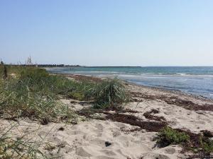 4 person holiday home in Karrebæksminde-By Traum