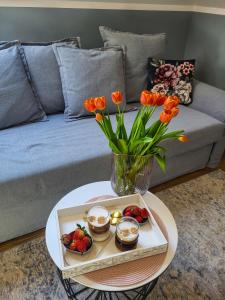 Saskia Dwór & Spa Willa z basenem