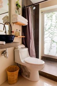 HIDALGO 3 · Group Stay 2 Blocks from Zócalo