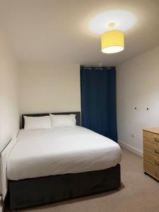 Luxury 2 bed Apt Canary Wharf