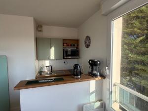 Appartement cosy animaux OK - 2 pers. - FR-1-364-189