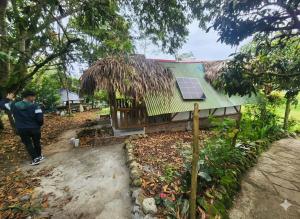 Hospedaje Finca el Mono