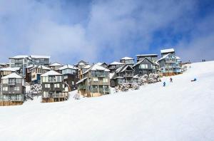Cobungra Chalet