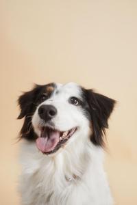 Hotel Münster Kongresscenter, Affiliated by Meliá