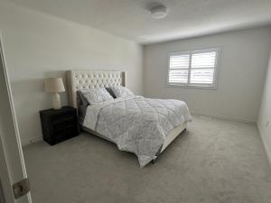 The Serene Stay, Lindsay