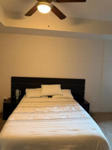 Downtown Austin 2 Bedroom & Sofa Bed Apartment Near Rainey Street and Lady Bird Lake