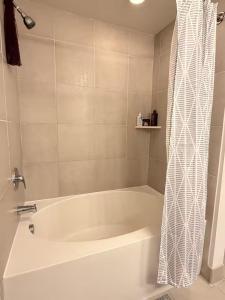 Downtown Austin 2 Bedroom & Sofa Bed Apartment Near Rainey Street and Lady Bird Lake