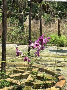 Emerald Lagoon Retreat Phu Quoc