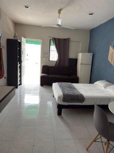 Estudio Confort Mérida