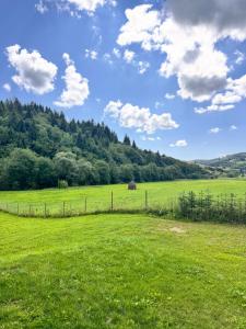 Apartamenty Lisovychok