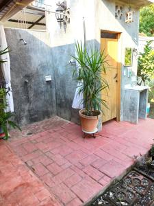 La Casita Puerto Arista