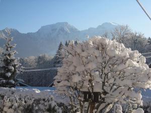 Haus Alpenglühn